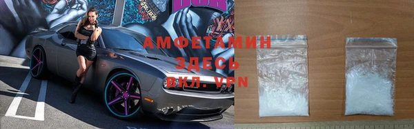 индика Абинск