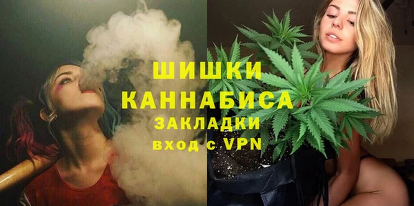 гидра Абаза
