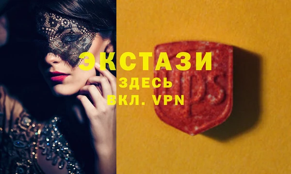 индика Абинск