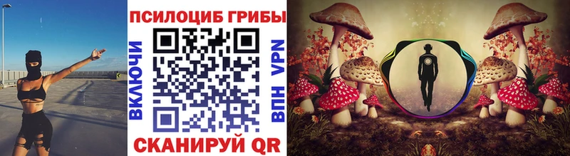 где можно купить наркотик  Серафимович  Галлюциногенные грибы мухоморы 